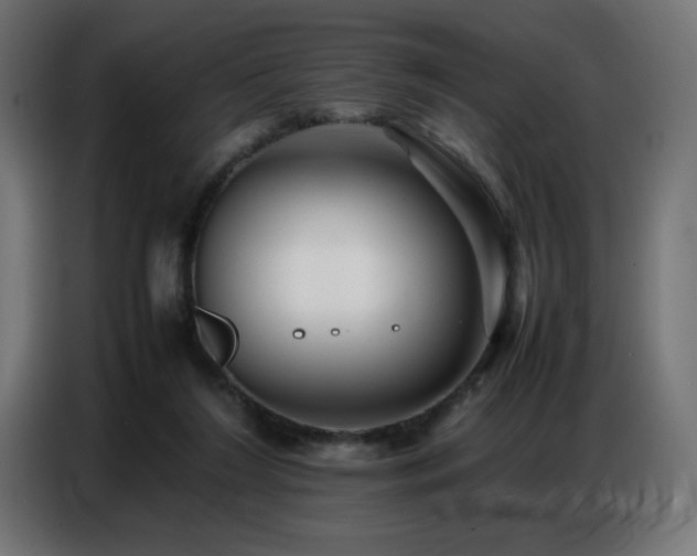 X0000086740212200704131136
