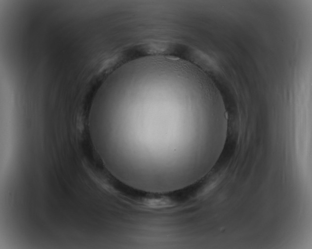 X0000086740215200704131136