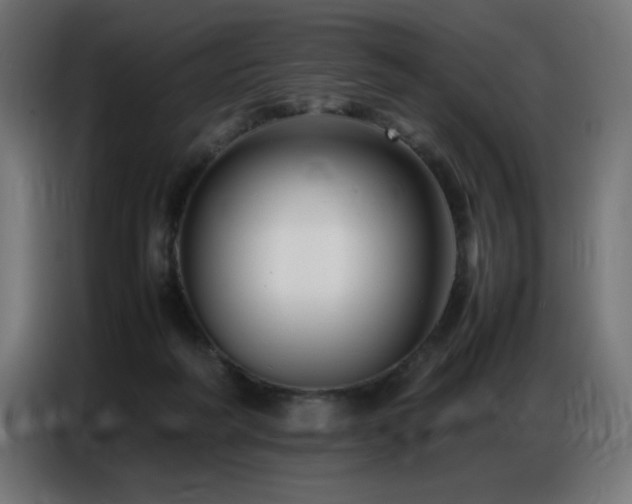 X0000086740218200704131136
