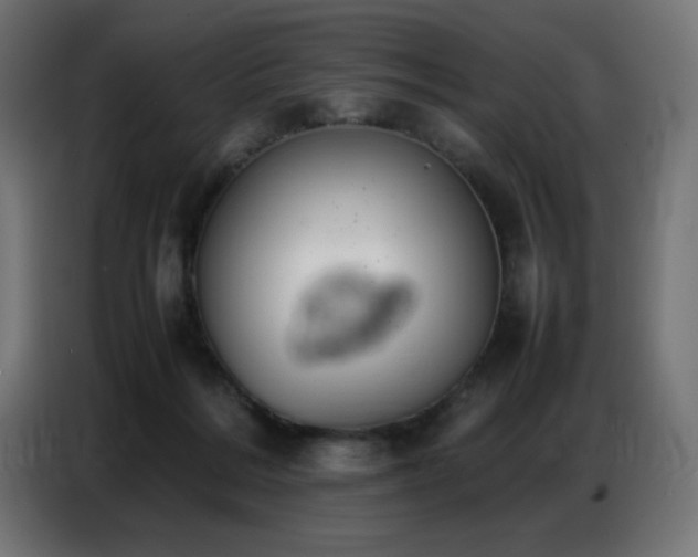 X0000086740220200704131136