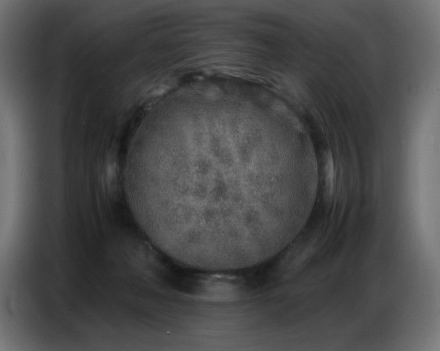 X0000086740222200704131136