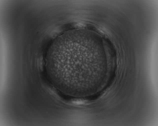 X0000086740223200704131136