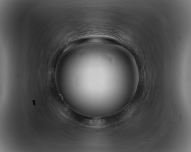 X0000086740225200704131136