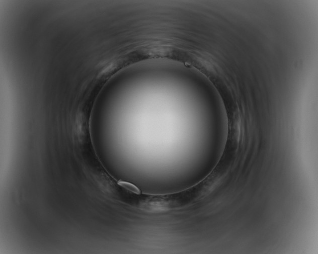 X0000086740228200704131136