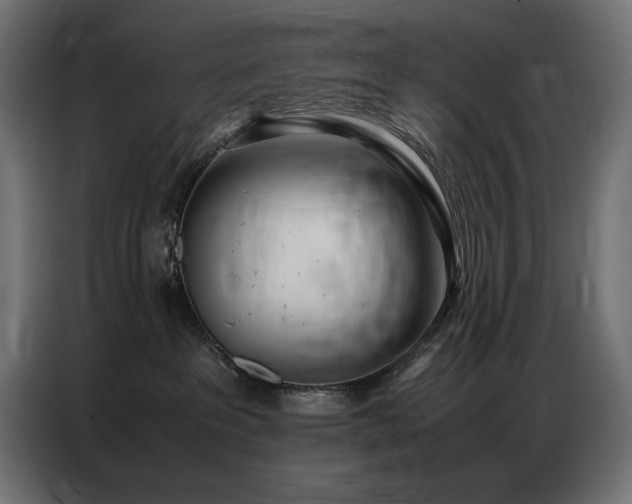 X0000086740237200704131136