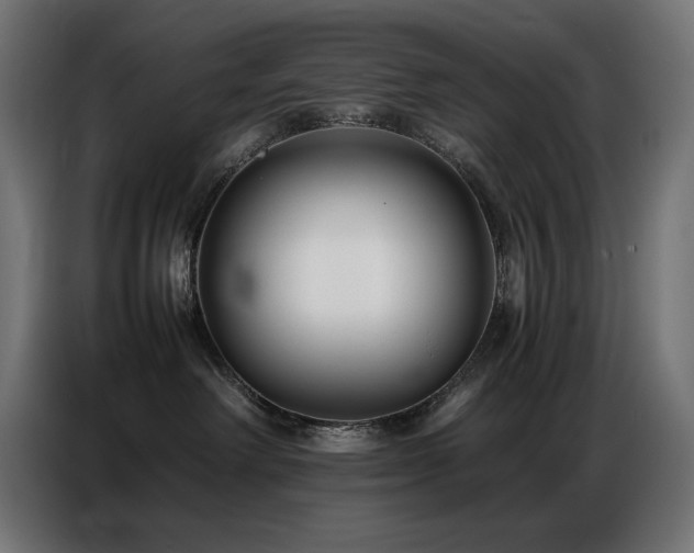 X0000086740238200704131136
