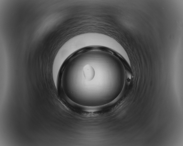 X0000086740239200704131136