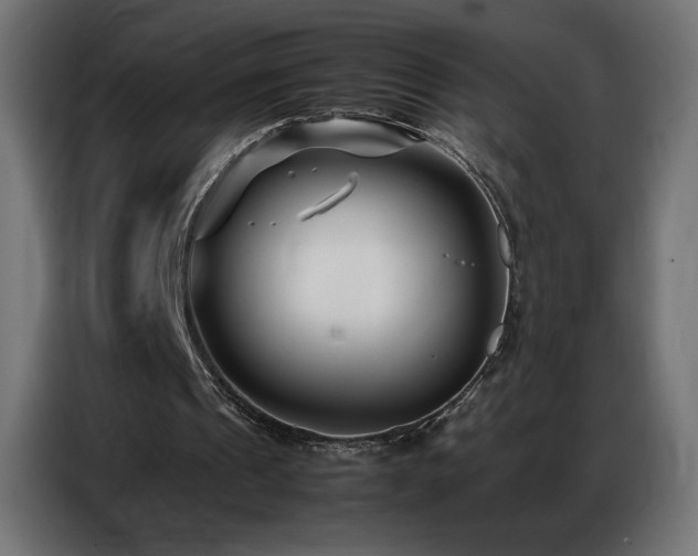 X0000086740241200704131135