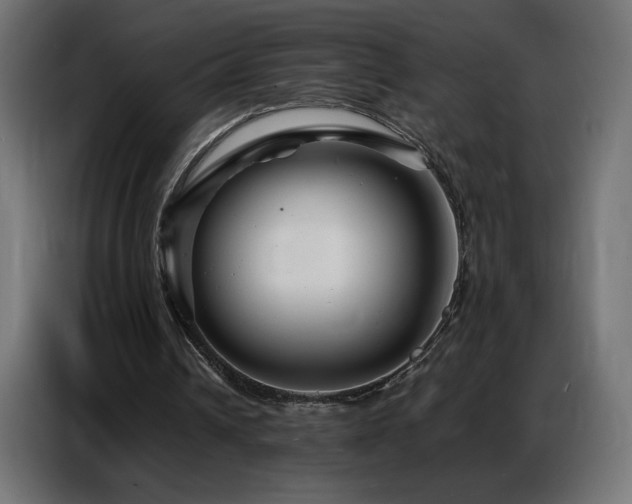 X0000086740242200704131135