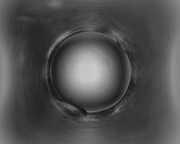 X0000086740244200704131135