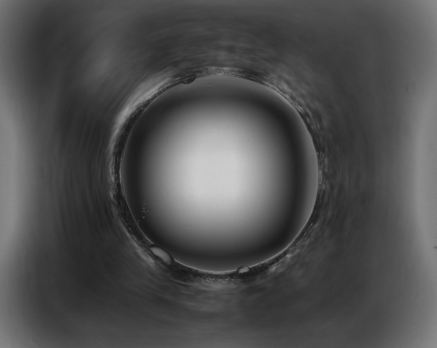 X0000086740245200704131135