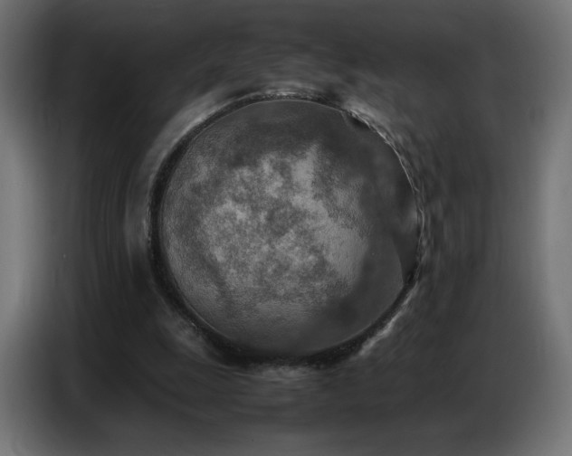 X0000086740247200704131135
