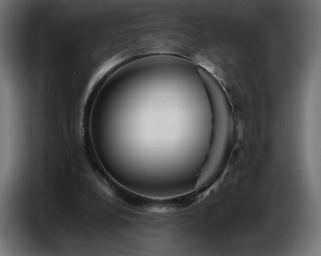X0000086740248200704131135