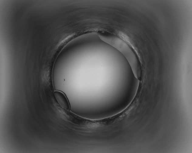 X0000086740249200704131135