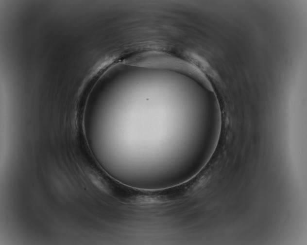 X0000086740250200704131135