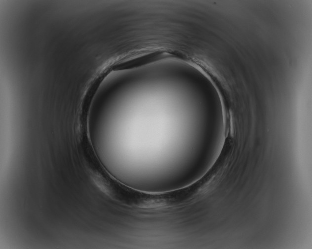 X0000086740252200704131135