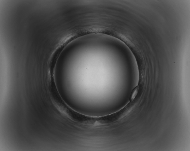 X0000086740254200704131135