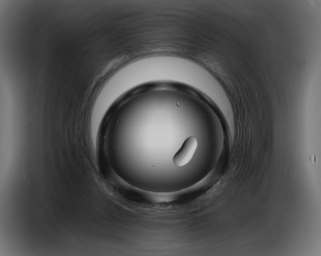 X0000086740256200704131135