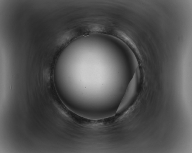X0000086740257200704131135