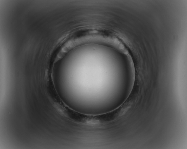 X0000086740258200704131135