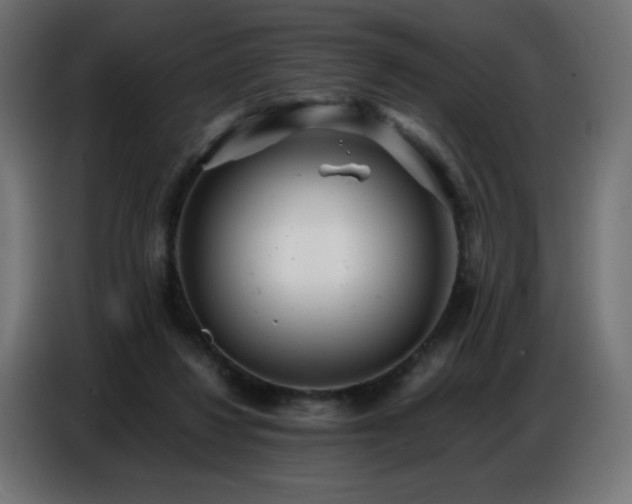 X0000086740260200704131135