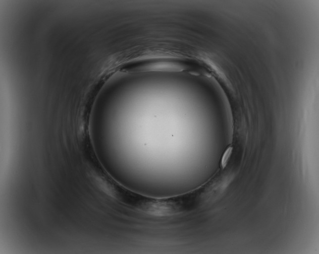 X0000086740261200704131135