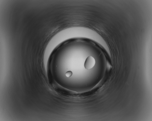 X0000086740264200704131135