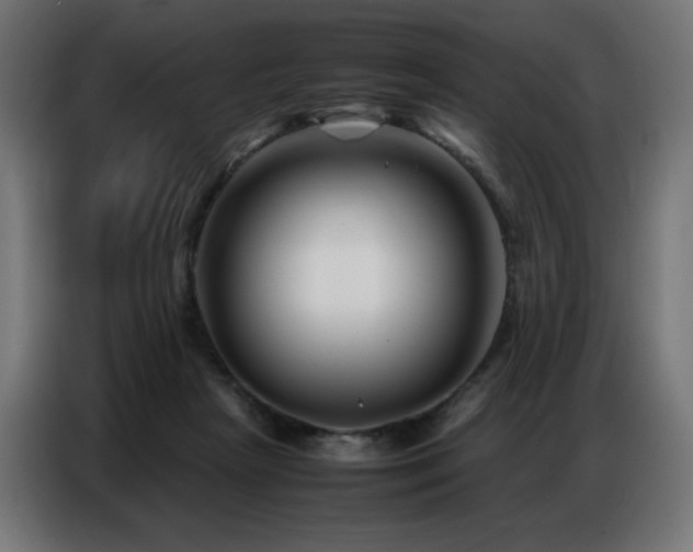 X0000086740265200704131135