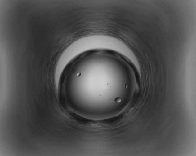 X0000086740268200704131135