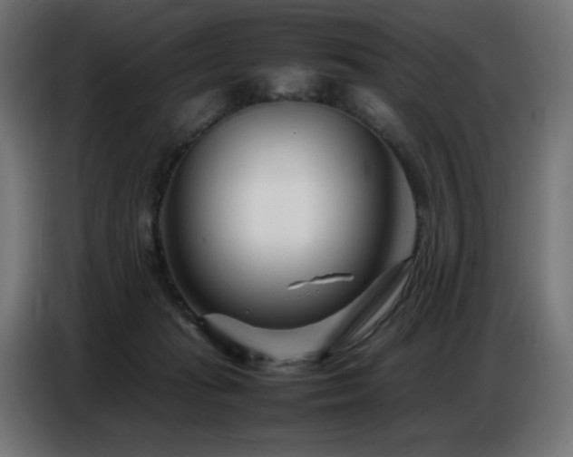 X0000086740269200704131135