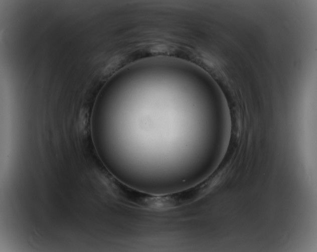 X0000086740273200704131135
