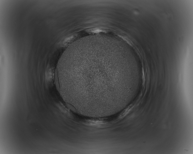 X0000086740284200704131135