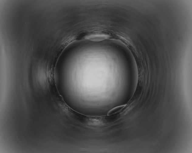 X0000086740285200704131135