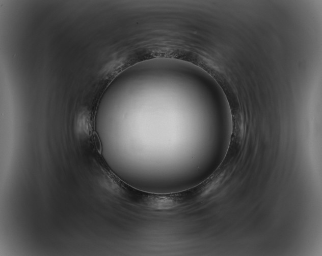 X0000086740287200704131135