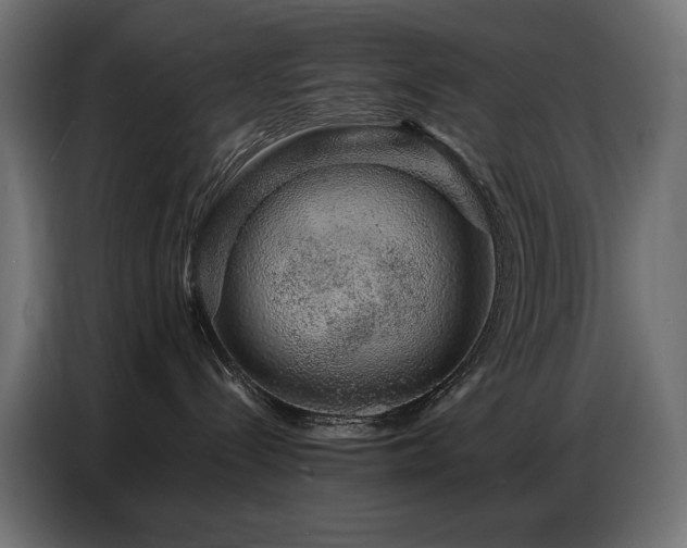 X0000086740288200704131136