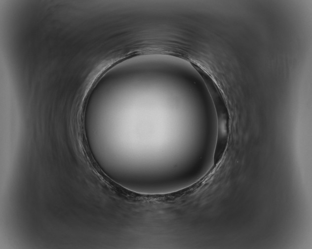 X0000086740289200704131135