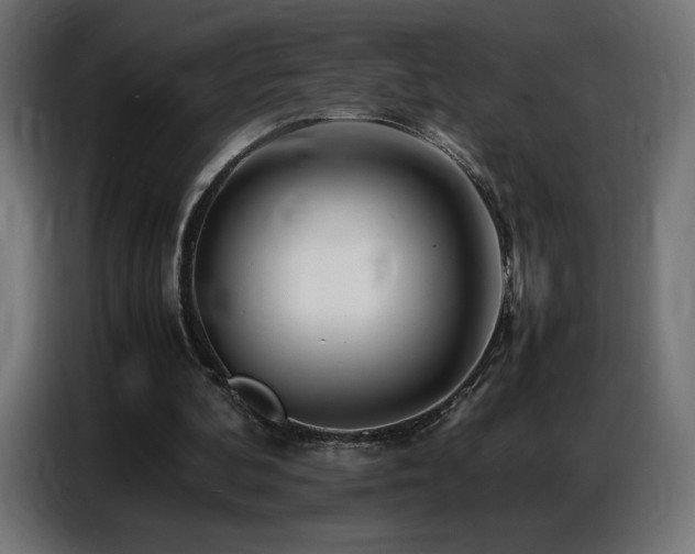 X0000086740292200704131135
