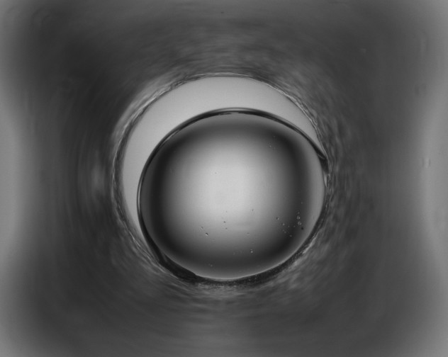 X0000086740293200704131135