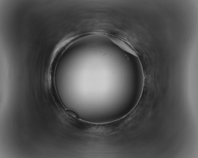 X0000086740294200704131135