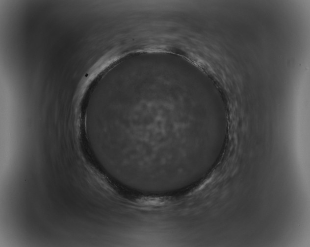 X0000086740295200704131135