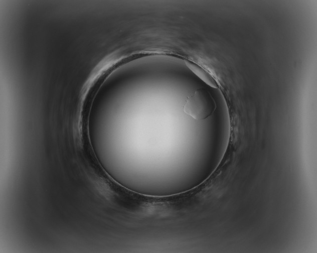 X0000086740296200704131135