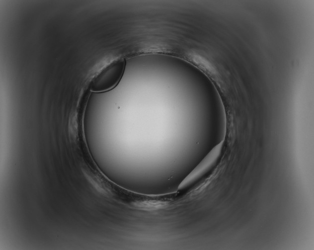 X0000086740298200704131135