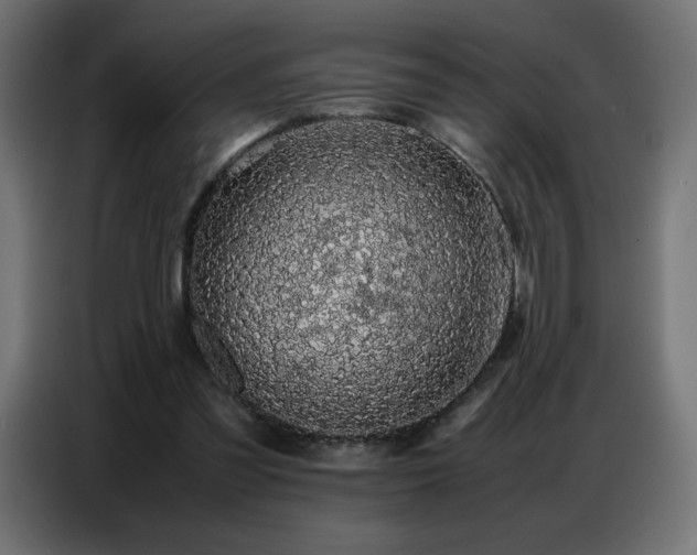 X0000086740301200704131135