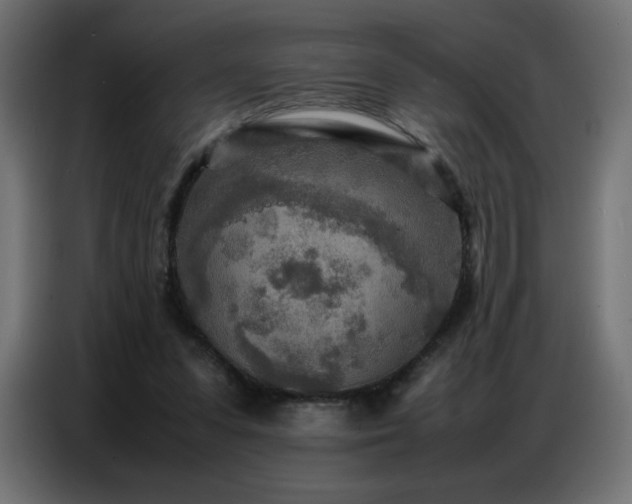 X0000086740303200704131135