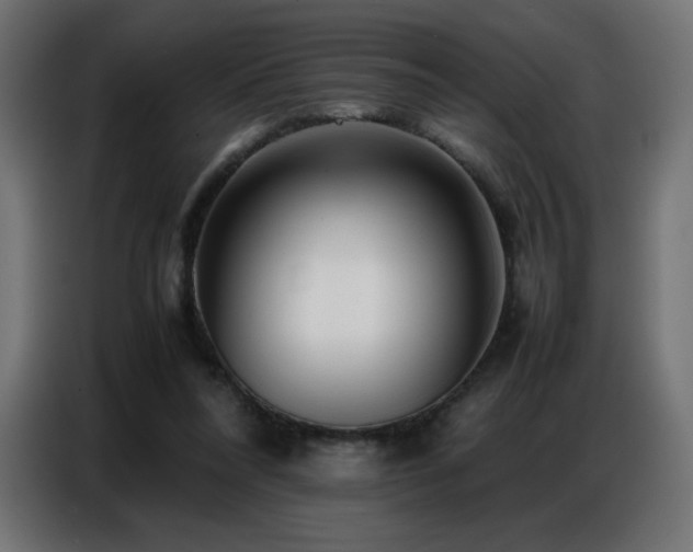 X0000086740304200704131135