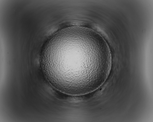 X0000086740305200704131135