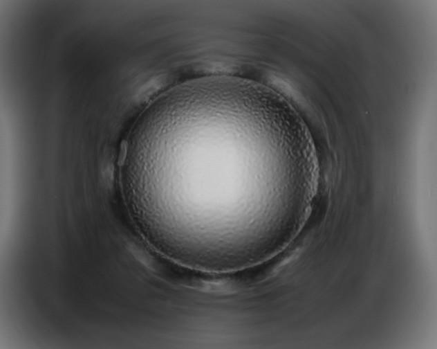 X0000086740309200704131134