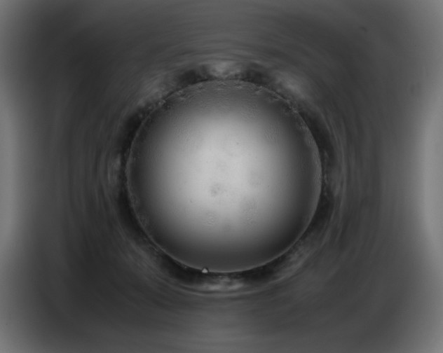 X0000086740319200704131134
