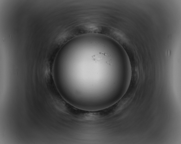 X0000086740320200704131134