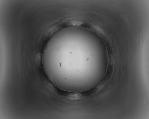 X0000086740321200704131134